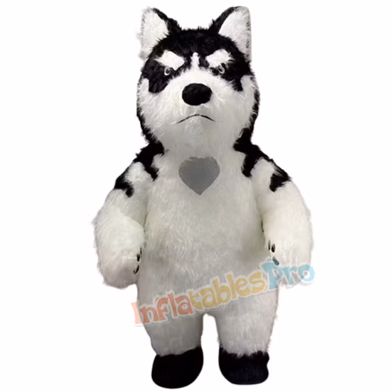 Sporthunde-Angstjacke Hundekostüme